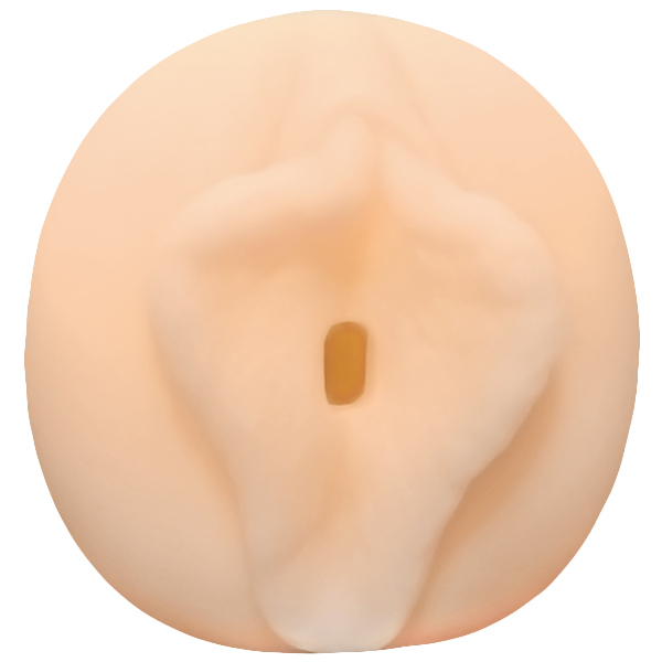 �y�P�P�Q�O�~�����ʌ���z�Ö����w���@�{���i�ցj�̏ꍇ������l�l�P�_���聄